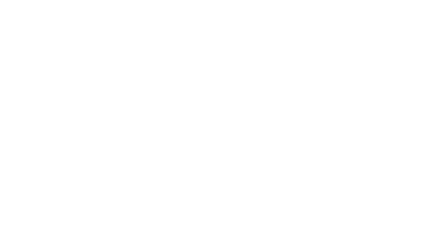 logo sos droles de dames